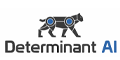 Determinant AI