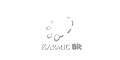 Karmic Bit
